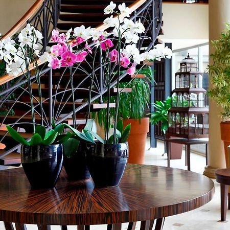 Cinar Hotel Stambuł Zewnętrze zdjęcie
