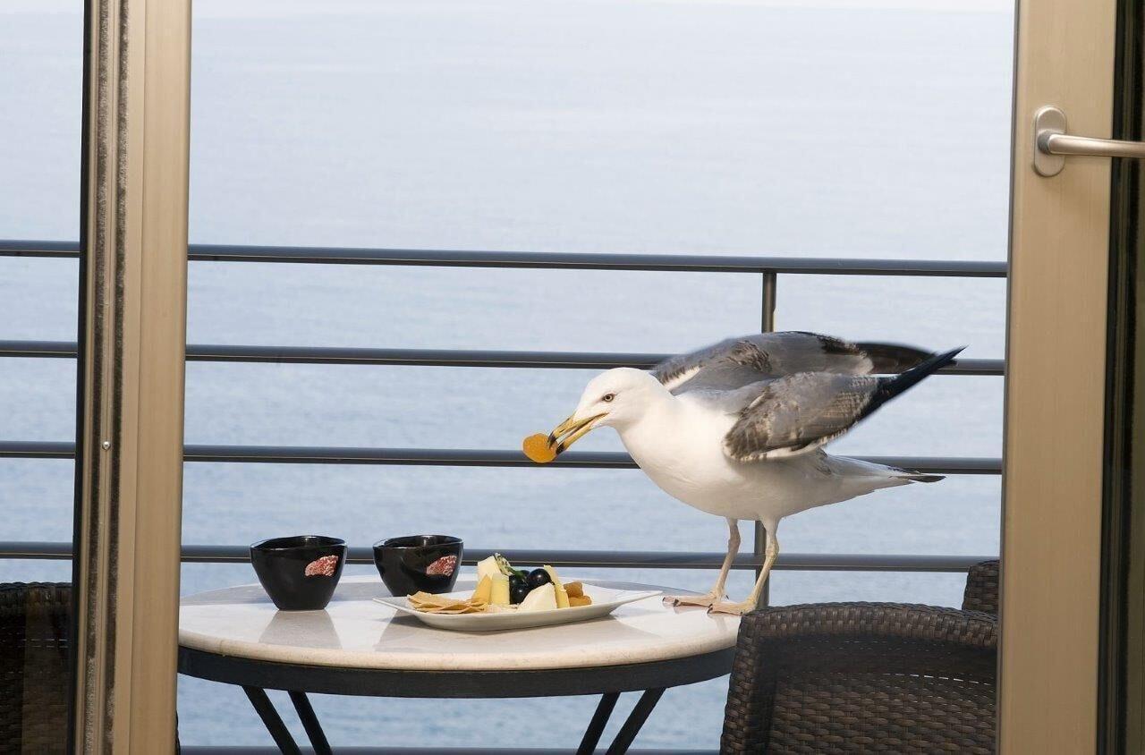 Cinar Hotel Stambuł Zewnętrze zdjęcie